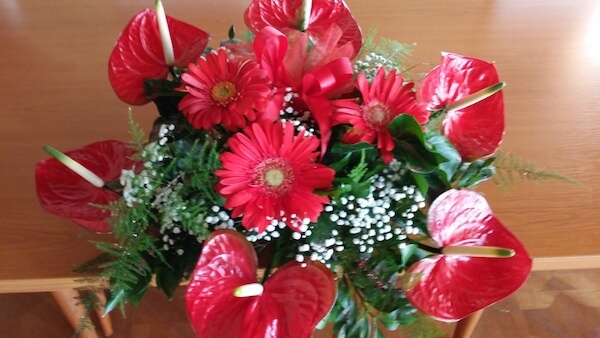 cvjecarnica gorana aranzman