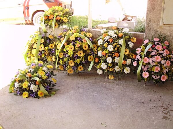 cvjecarnica gorana vijenac