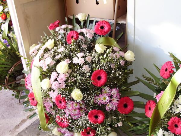 cvjecarnica gorana vijenac