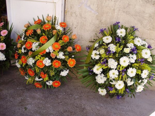 cvjecarnica gorana vijenac